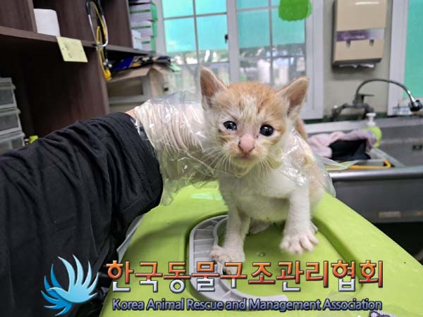 한국동물구조관리협회_411311202400622